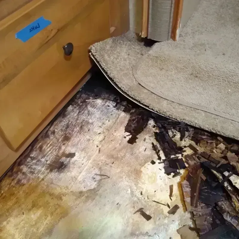 Wood Floor Water Damage in Selma, CA